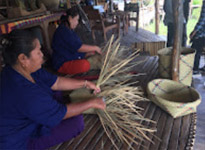 Lake and Culture ตรัง พัทลุง Lake and Culture ตรัง พัทลุง