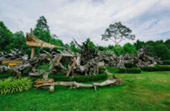 Lake and Culture ตรัง พัทลุง Lake and Culture ตรัง พัทลุง