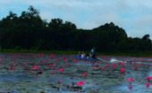 Lake and Culture ตรัง พัทลุง Lake and Culture ตรัง พัทลุง