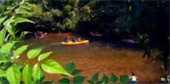 Lake and Culture ตรัง พัทลุง Lake and Culture ตรัง พัทลุง