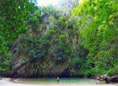 Day Trip: หมู่เกาะแหวน ทะเลตรัง เช้าเย็นกลับ Day Trip: หมู่เกาะแหวน ทะเลตรัง เช้าเย็นกลับ