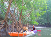 Trang Tale: ตรัง 2 วัน 1 คืน เรื่องราวที่ตรัง Trang Tale: ตรัง 2 วัน 1 คืน เรื่องราวที่ตรัง