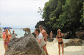 เกาะไม้ไผ่ เกาะพีพี Camel Rock เกาะไม้ไผ่ เกาะพีพี Camel Rock
