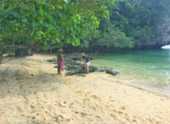 The Blue Lagoon: 1 วัน The Blue Lagoon: 1 วัน