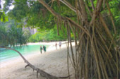 The Blue Lagoon: 1 วัน The Blue Lagoon: 1 วัน