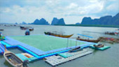 James Bond Island: ทัวร์วันเดียว James Bond Island: ทัวร์วันเดียว