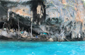 เกาะพีพี Private Group โดยเรือหางยาว จากเกาะยาว เช้าเย็นกลับ เกาะพีพี Private Group โดยเรือหางยาว จากเกาะยาว เช้าเย็นกลับ