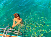 เกาะพีพี Private Group โดยเรือหางยาว จากเกาะยาว เช้าเย็นกลับ เกาะพีพี Private Group โดยเรือหางยาว จากเกาะยาว เช้าเย็นกลับ