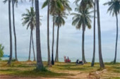 The Island Sapiens: เกาะยาวใหญ่ 1 วัน The Island Sapiens: เกาะยาวใหญ่ 1 วัน