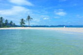 The Island Sapiens: เกาะยาวใหญ่ 1 วัน The Island Sapiens: เกาะยาวใหญ่ 1 วัน