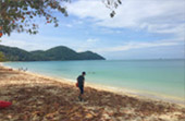 The Island Sapiens: เกาะยาวใหญ่ 1 วัน The Island Sapiens: เกาะยาวใหญ่ 1 วัน