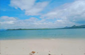 The Island Sapiens: เกาะยาวใหญ่ 1 วัน The Island Sapiens: เกาะยาวใหญ่ 1 วัน