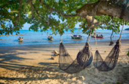The Island Sapiens: เกาะยาวใหญ่ 1 วัน The Island Sapiens: เกาะยาวใหญ่ 1 วัน