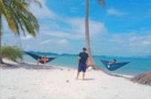 The Island Sapiens: เกาะยาวใหญ่ 1 วัน The Island Sapiens: เกาะยาวใหญ่ 1 วัน
