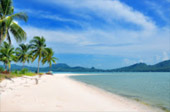 The Island Sapiens: เกาะยาวใหญ่ 1 วัน The Island Sapiens: เกาะยาวใหญ่ 1 วัน