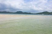 The Island Sapiens: เกาะยาวใหญ่ 1 วัน The Island Sapiens: เกาะยาวใหญ่ 1 วัน